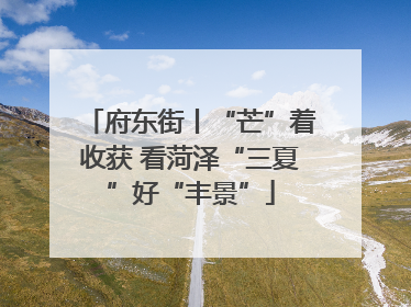 府东街丨“芒”着收获 看菏泽“三夏”好“丰景”